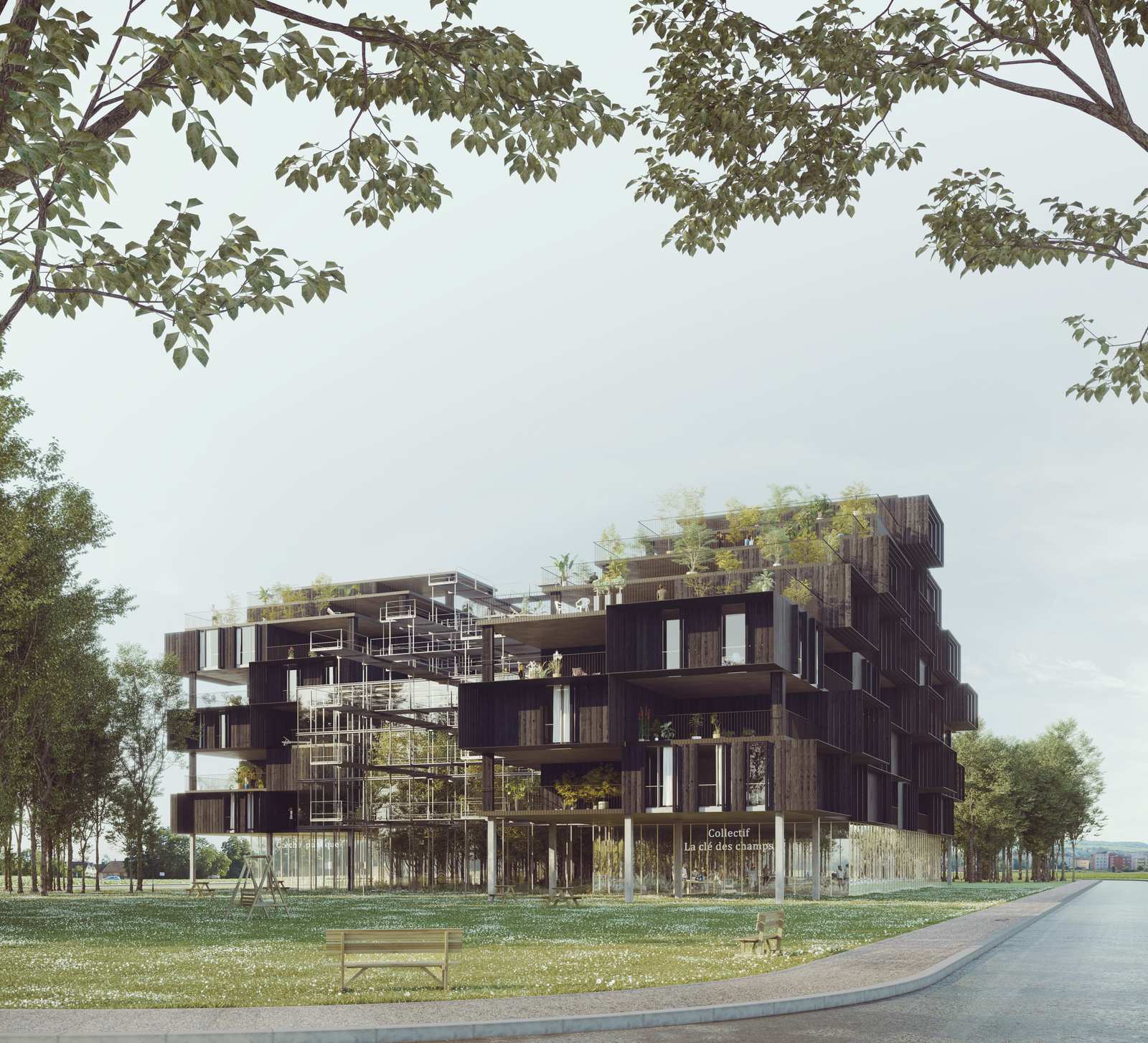 Logements 50/50 à Aubervilliers, structure bois ouverte dans le parc