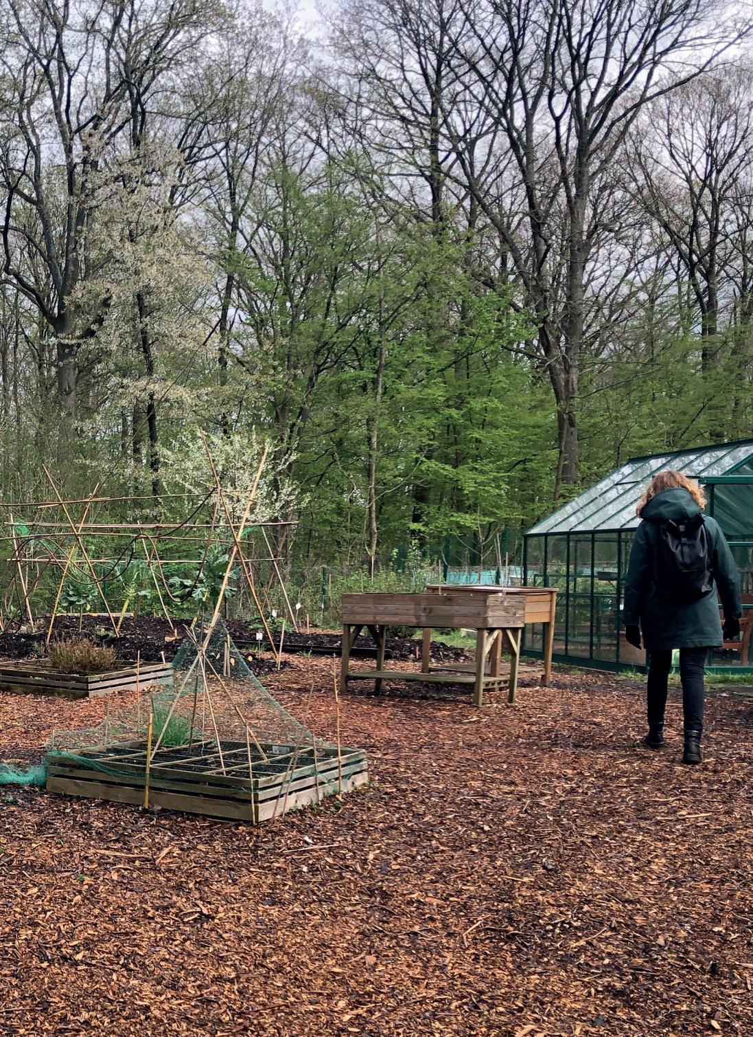 Jardin partagé et serre du domaine de Saint-François-d’Assise, La Celle-Saint-Cloud
